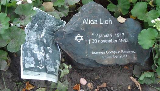 4. Alida Lion