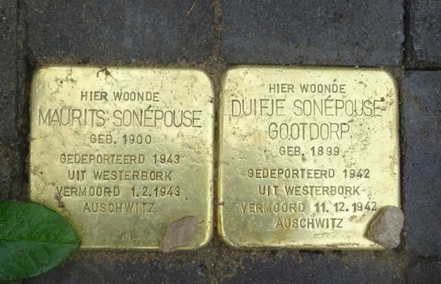 Sonepouse Gootdorp.jpg