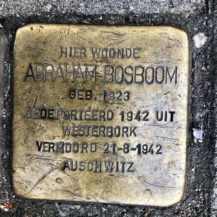 BOSBOOM_Abraham_1923.jpg