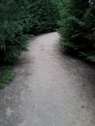 IMG-20190618-WA0011.jpg