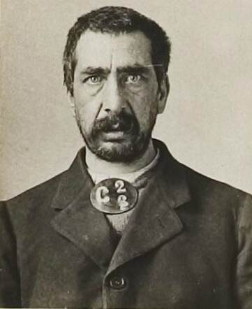 Salomon Krant