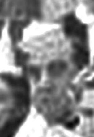 Raphael van Kleef 