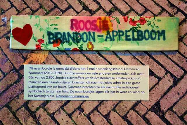 Brandon_Appelboom_Roosje__V_241_huis.JPG