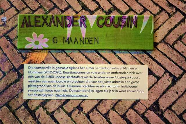 Cousin_Alexander__V_241_III.JPG