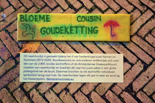 Cousin_Goudeketting_Bloeme__V_241_III.JPG
