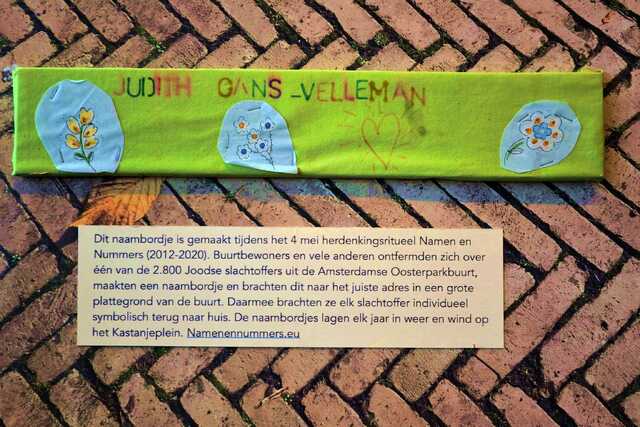 Gans_Velleman_Judith__V_243_III.JPG