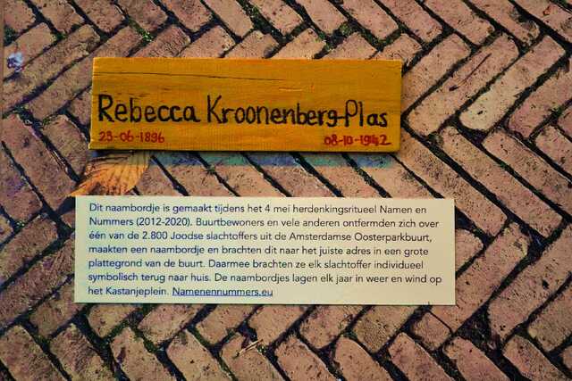 Kroonenberg_Plas_Rebecca__V_247_II.JPG