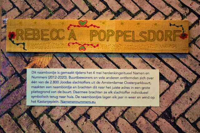 Poppelsdorf_Rebecca__V_247_I.JPG