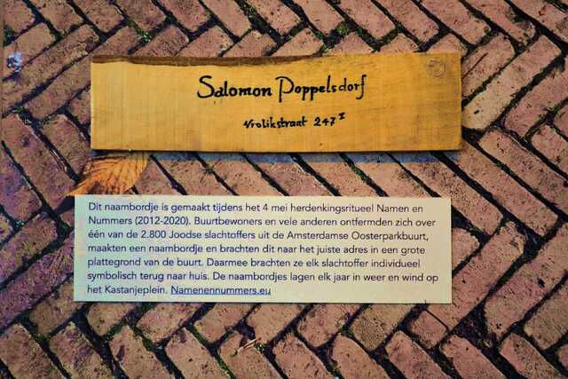 Poppelsdorf_Salomon__V_247_I.JPG