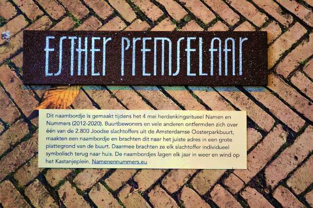 Premselaar_Esther__V_247_huis.JPG