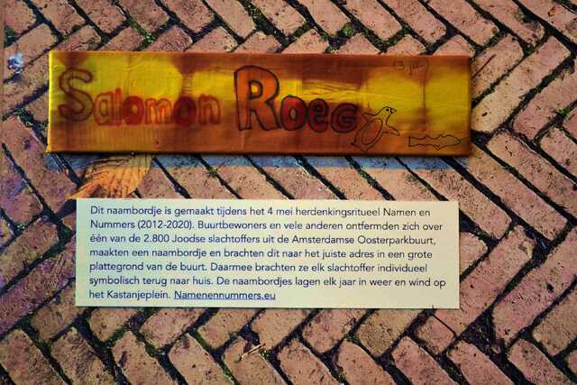 Roeg_Salomon__V_251_III.JPG