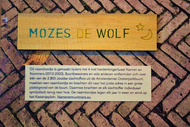 Wolf_Mozes_de_V_249_.JPG