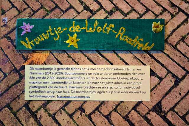 Wolf_Roodfeld_Vrouwtje_de_V_249_.JPG