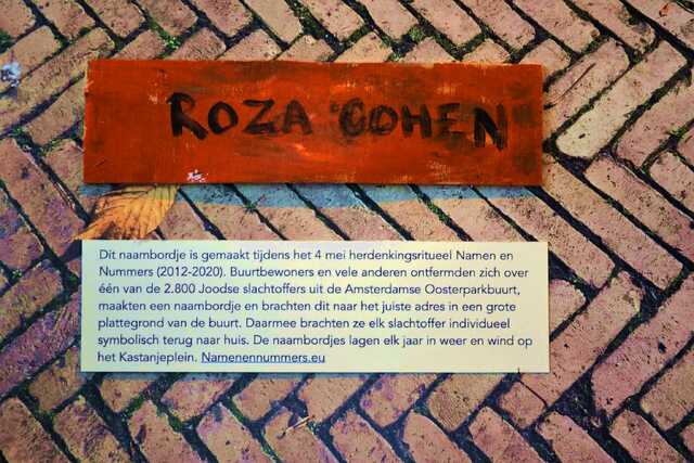 Cohen_Roza__V_305_I.JPG