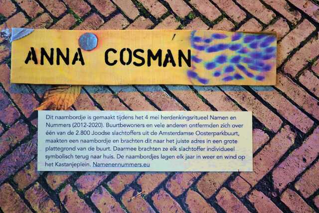 Cosman_Anna__V_299_I.JPG