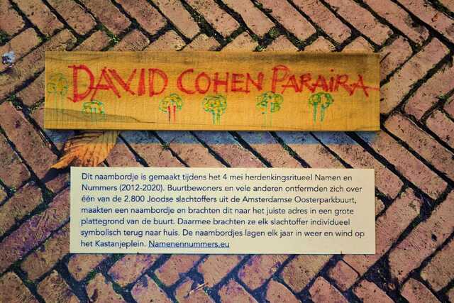 Cohen Paraira_David__V_73_II.JPG