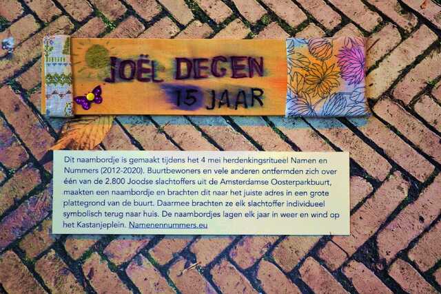 Degen_Joël__V_299_III.JPG