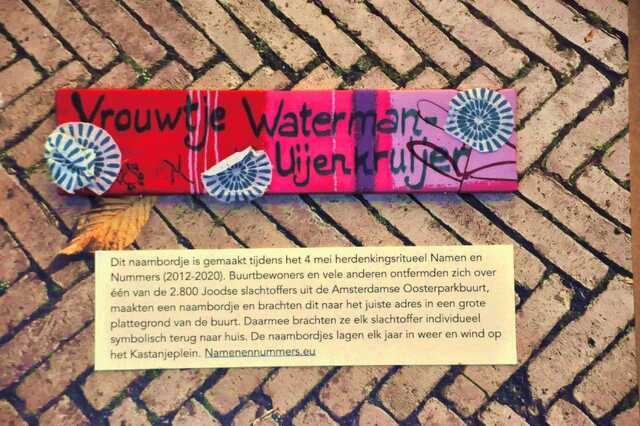 Waterman_Uijenkruijer_Vrouwtje__Ops1_136_.JPG
