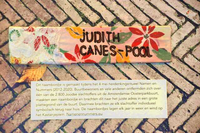 Canes_Pool_Judith__Ops3_18_huis.JPG