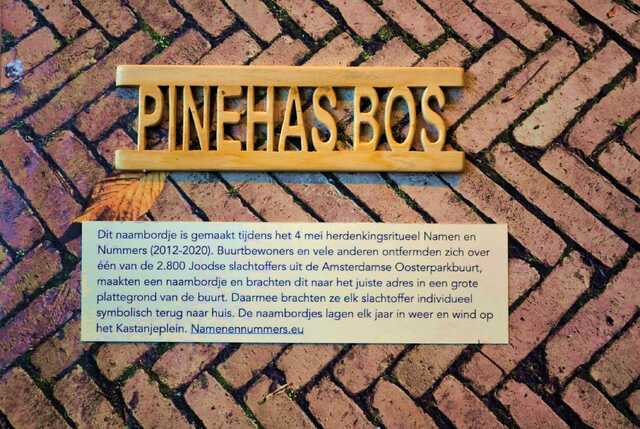 Bos_Pinehas__V_269_I.JPG