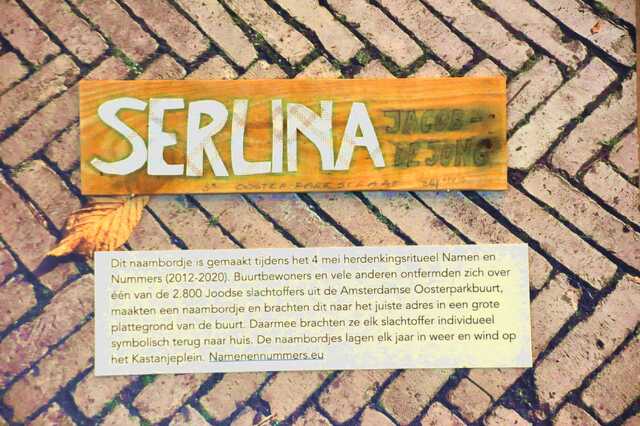 Jacob_de Jong_Serlina__Ops3_34_huis.JPG