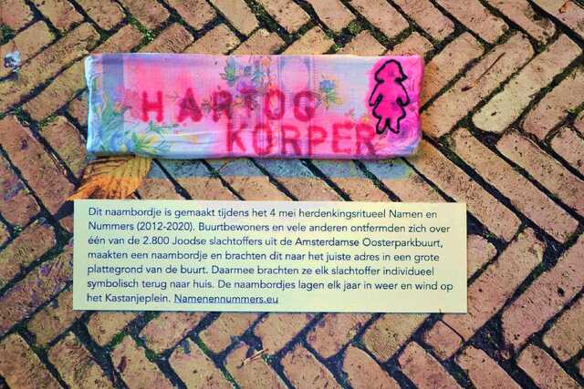 Korper_Hartog__V_279_III.JPG