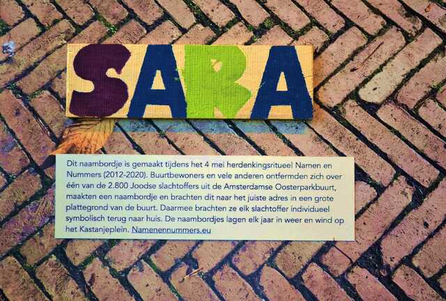 Löwenstein_Wijnschenk_Sara__V_271_I.JPG