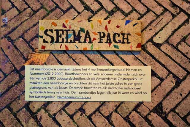 Pach_Selma__V_261_III#2.JPG
