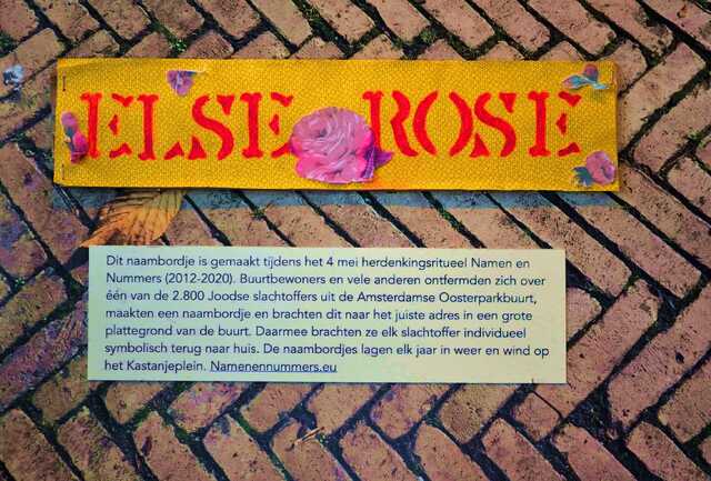 Rose_Else__V_277_I.JPG