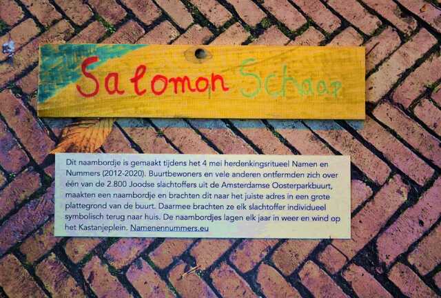 Schaap_Salomon__V_275_I.JPG