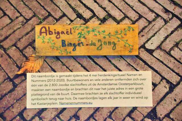 Binger_de Jong_Abigaël__Ops1_173_I.JPG