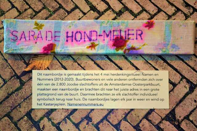 Hond_Meijer_Sara_de_V_93_II.JPG