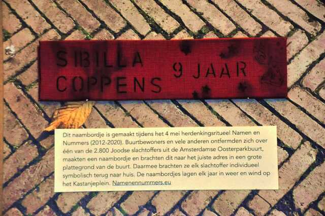 Coppens_Sibilla__Ops1_57_I.JPG