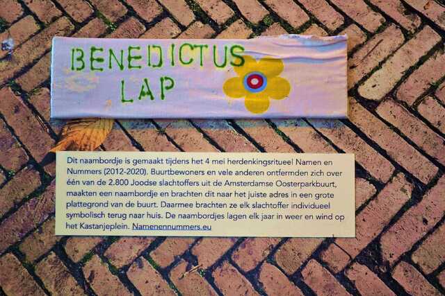 Lap_Benedictus__V_291_I.JPG