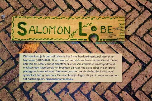 Lobe_Salomon__V_193_I#1.JPG