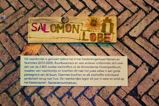 Lobe_Salomon__V_193_I#2.JPG
