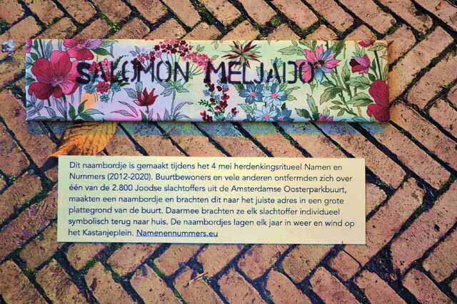 Meljado_Salomon__V_289_III.JPG
