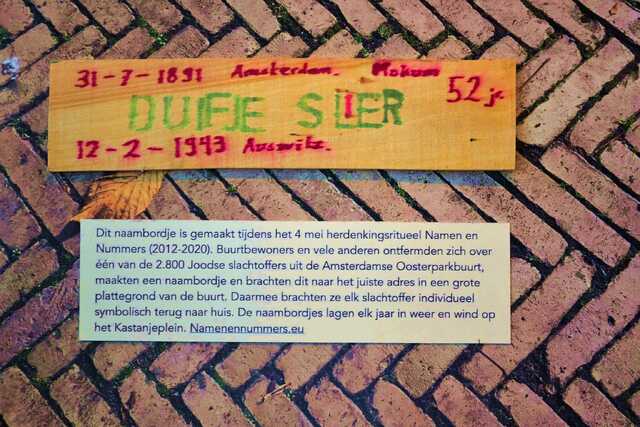 Slier_Duifje__V_291_II.JPG