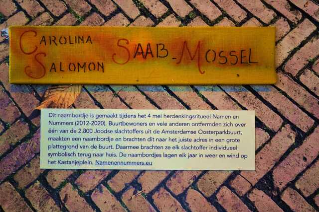 Swaab_Mossel_Carolina__V_289_I.JPG