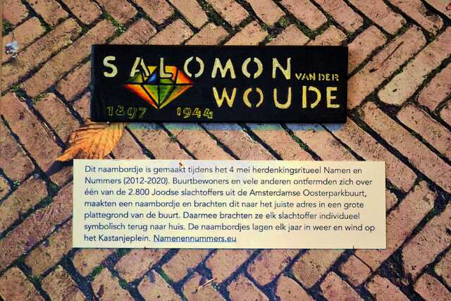 Woude_Salomon_van der_V_179_II.JPG