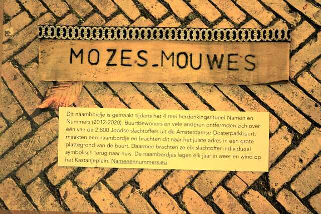 Mouwes_Mozes__V_303_II (2).JPG