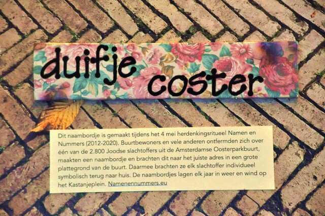 Coster_Kanes_Duifje__Ops1_167_II.JPG
