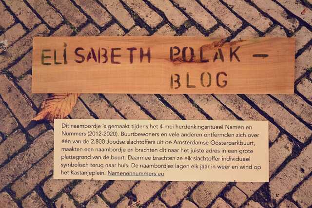 Polak_Blog_Elisabeth__V_36_II.JPG
