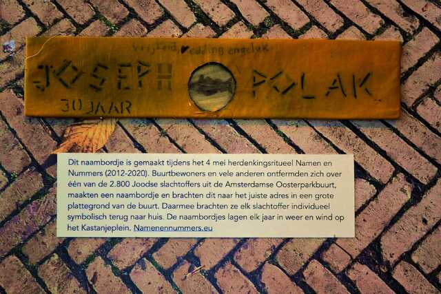 Polak_Joseph__V_201_II.JPG