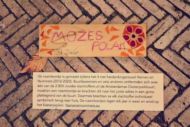 Polak_Mozes__V_36_II.JPG