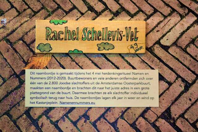 Schellevis_Vet_Rachel__V_203_II.JPG