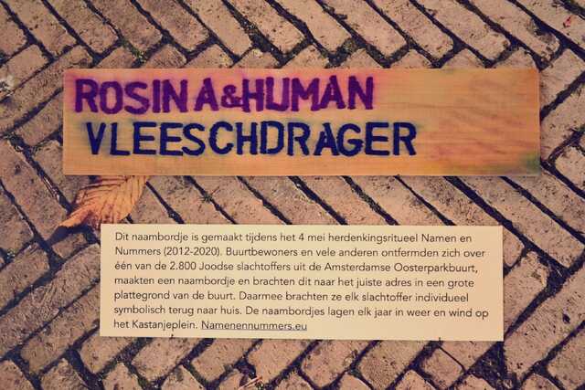 Vleeschdrager_Hijman__V_34_III.JPG