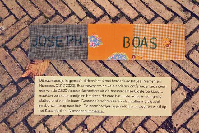 Boas_Joseph__V_36_III.JPG