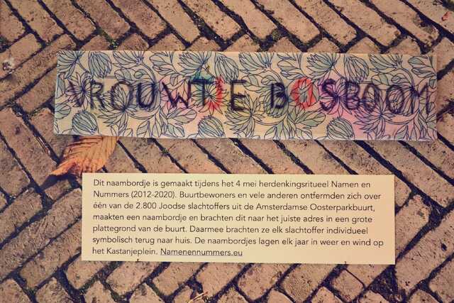 Bosboom_Vrouwtje__V_42_I#1.JPG