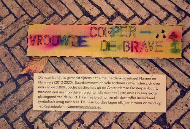 Corper_de Brave_Vrouwtje__V_46_II.JPG